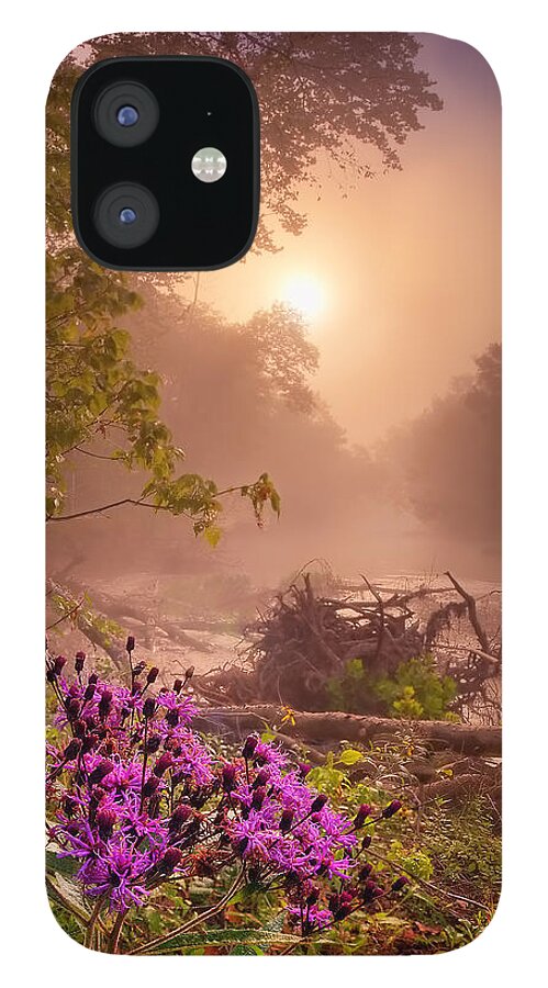 2013 iPhone 12 Case featuring the photograph Ironweed in Mist by Robert Charity