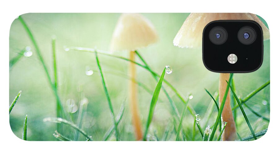 Mushroom iPhone 12 Case featuring the photograph It's a small world by Sylvia Cook