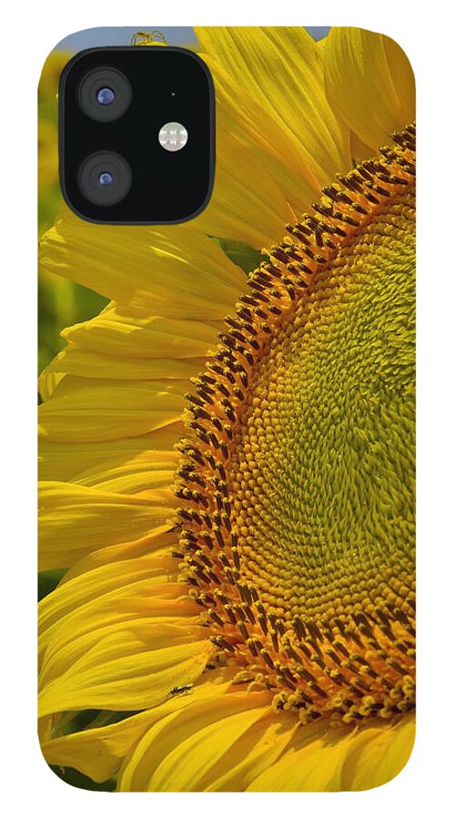 Itsy Bitsy iPhone 12 Case featuring the photograph Itsy Bitsy by Skip Hunt