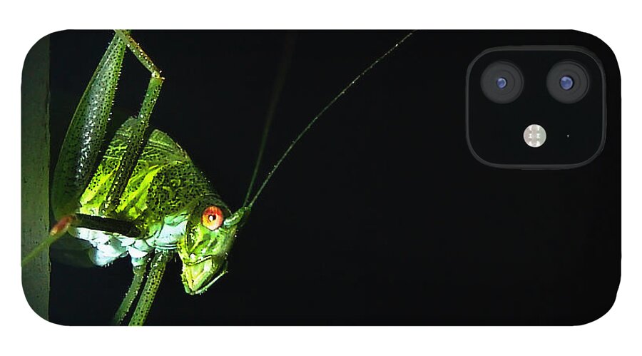 Jiminy Cricket iPhone 12 Case featuring the photograph Jiminy Cricket by Alessandro Della Pietra