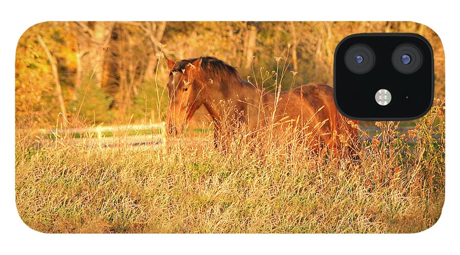 Horse iPhone 12 Case featuring the photograph Jonathan by Carol Lynn Coronios