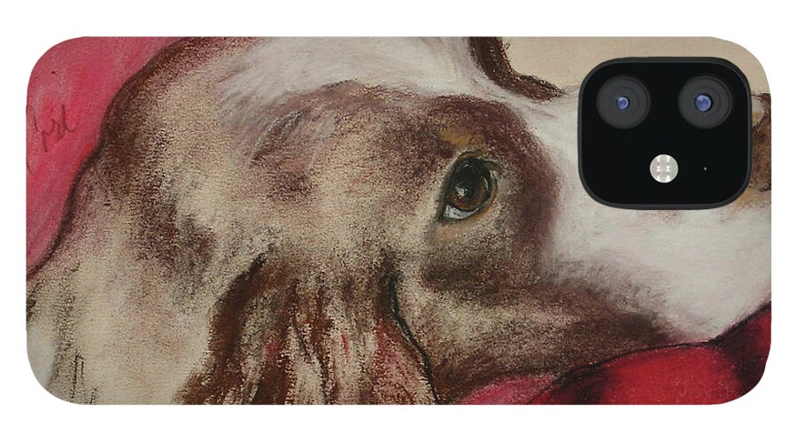 Springer Spaniel iPhone 12 Case featuring the drawing Jourdan by Cori Solomon
