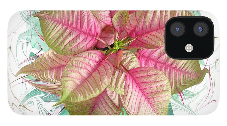 Poinsettia iPhone 12 Case featuring the photograph Jubilant Poinsettia by Bruce Frank