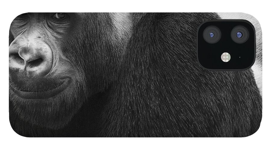 Gorilla iPhone 12 Case featuring the drawing Kong by Stirring Images