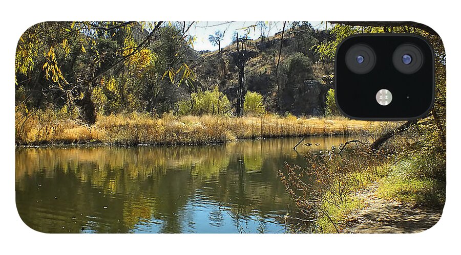 Marsh iPhone 12 Case featuring the photograph Lake View by Lucinda Walter