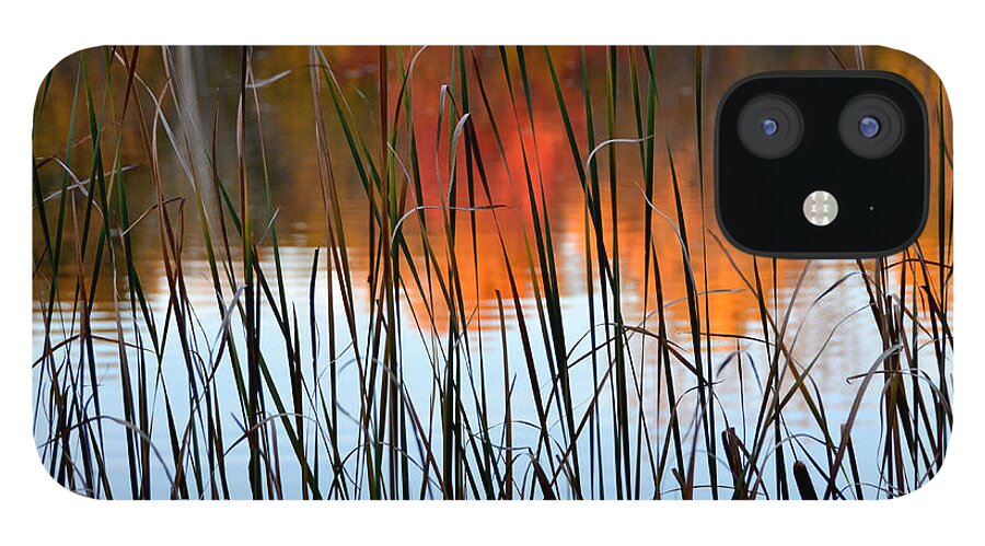 Lake iPhone 12 Case featuring the photograph Lakeside Tales by Andrea Platt