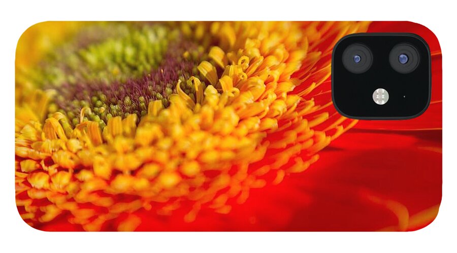 Flower iPhone 12 Case featuring the photograph Landscape of a Flower by Natalie Rotman Cote