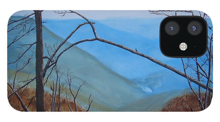 Lane Pinnacle iPhone 12 Case featuring the painting Lane Pinnacle by Stuart Engel
