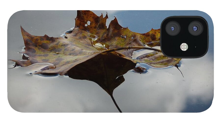 Jane Ford iPhone 12 Case featuring the photograph Leaf in sky by Jane Ford