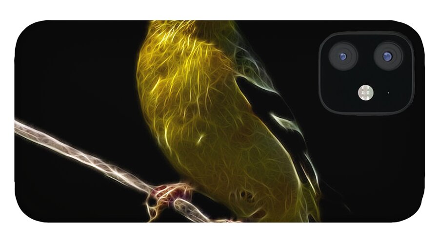 Goldfinch iPhone 12 Case featuring the digital art Lesser Goldfinch - 2235 F by James Ahn