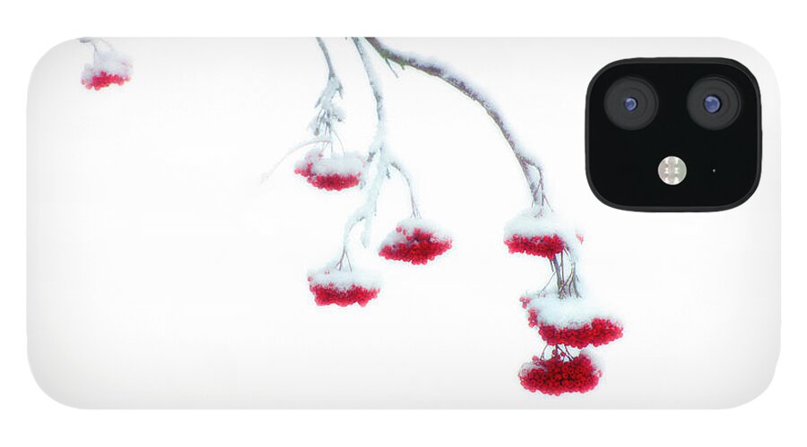 Canada iPhone 12 Case featuring the photograph Let Me Down Easy by Doug Gibbons