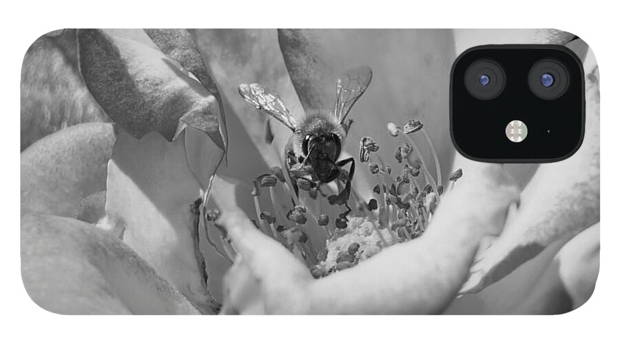 Photograph iPhone 12 Case featuring the photograph Life B W by Giorgio Tuscani