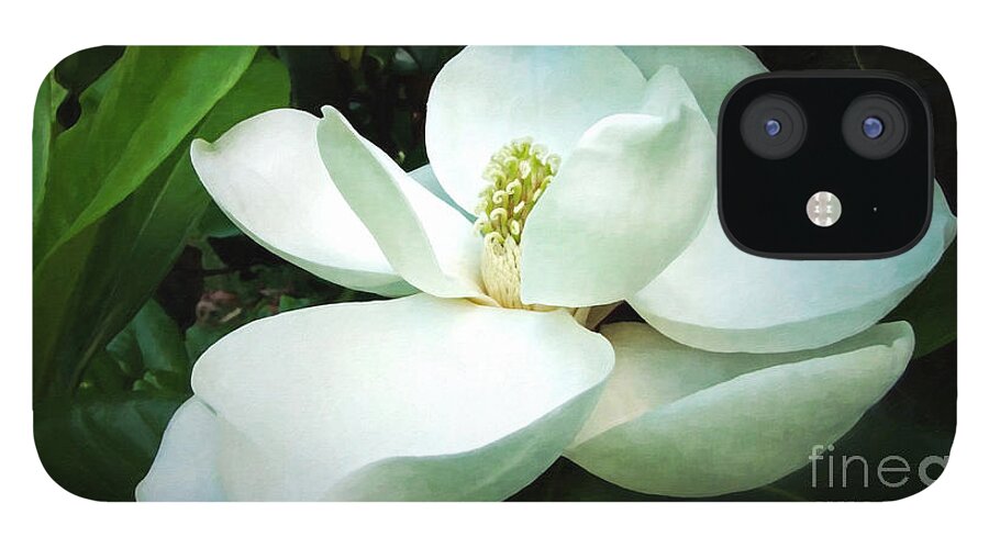 Flower iPhone 12 Case featuring the digital art Light in the Darkness by Lianne Schneider