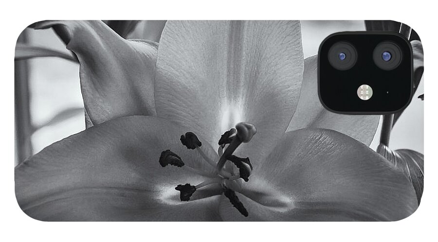 2013 iPhone 12 Case featuring the photograph Lily 16 by Mark Myhaver