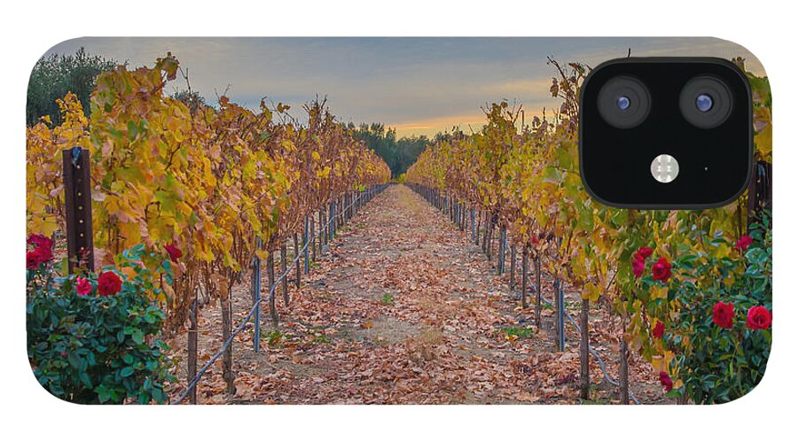Landscape iPhone 12 Case featuring the photograph Livermore Vineyard by Marc Crumpler