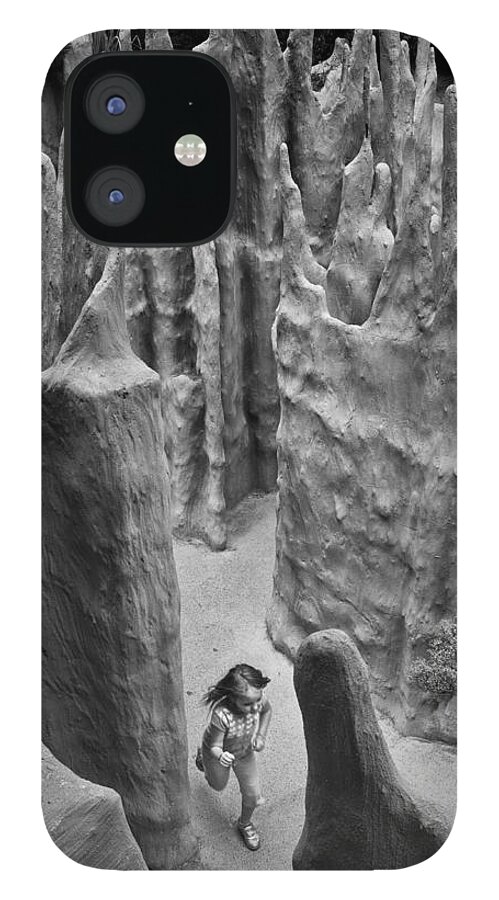 Fantasy iPhone 12 Case featuring the photograph Lost in a Black and White Dream by Mary Lee Dereske