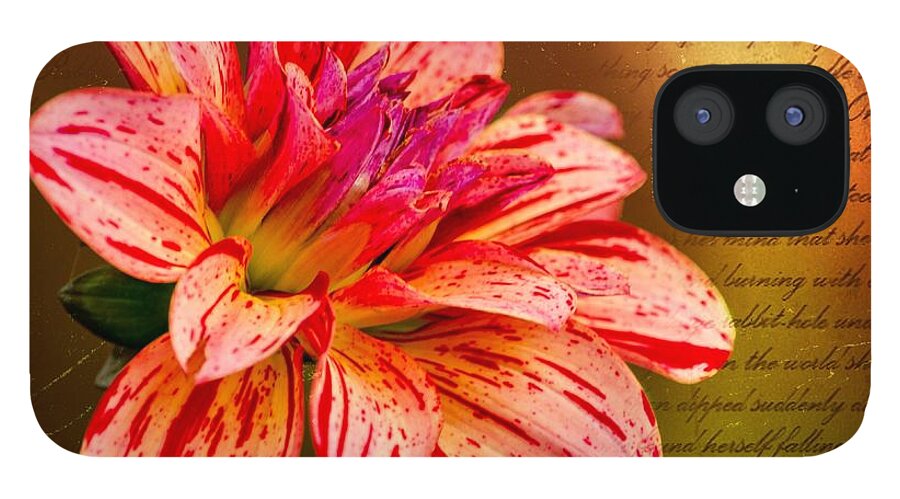 Flower iPhone 12 Case featuring the photograph Love Letter To Dahlia by Jordan Blackstone