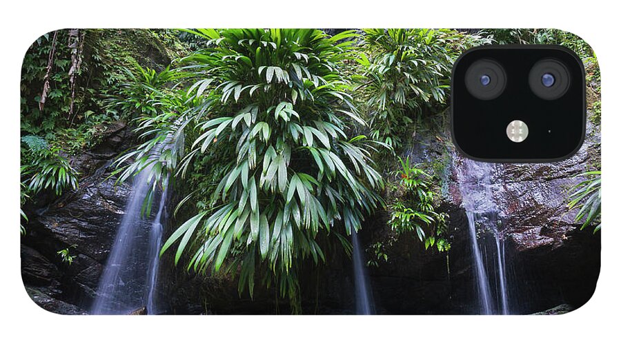 Tropical Rainforest iPhone 12 Case featuring the photograph Lush Rainforest And Falls by Debralee Wiseberg