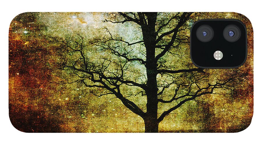 Textures iPhone 12 Case featuring the photograph Magic Night by Randi Grace Nilsberg
