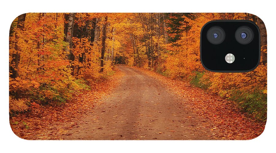 Magical Autumn Mystery iPhone 12 Case featuring the photograph Magical Autumn Mystery by Rachel Cohen