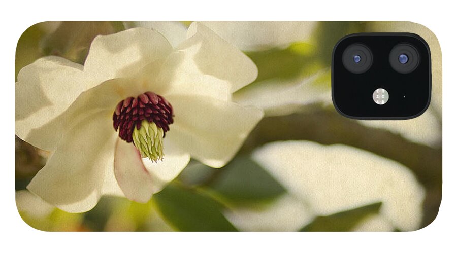 Magnolia iPhone 12 Case featuring the photograph Magnolia by Rebecca Cozart