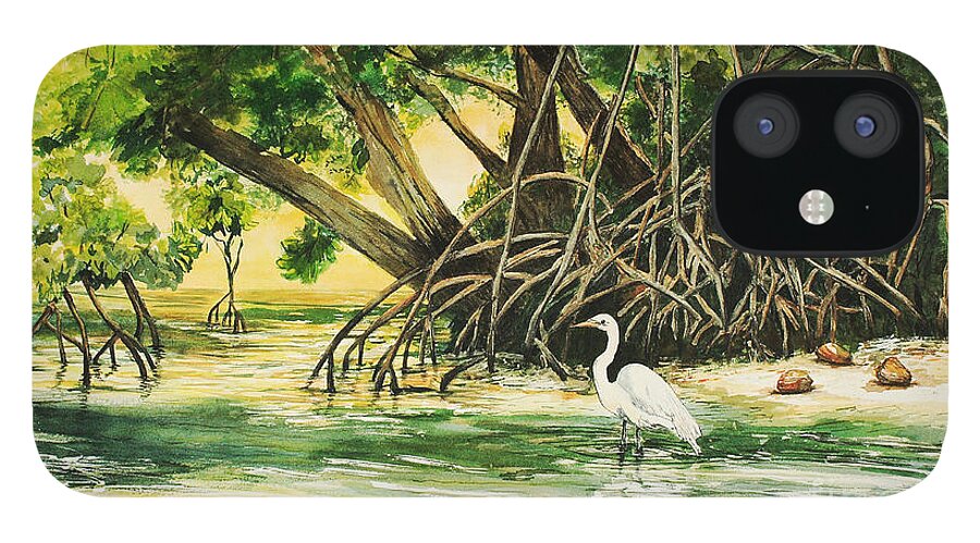 Everglades iPhone 12 Case featuring the painting Mangrove Morning by Janis Lee Colon