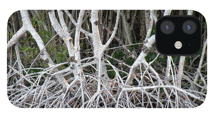 Trees iPhone 12 Case featuring the photograph Mangrove Roots by Rosalie Scanlon