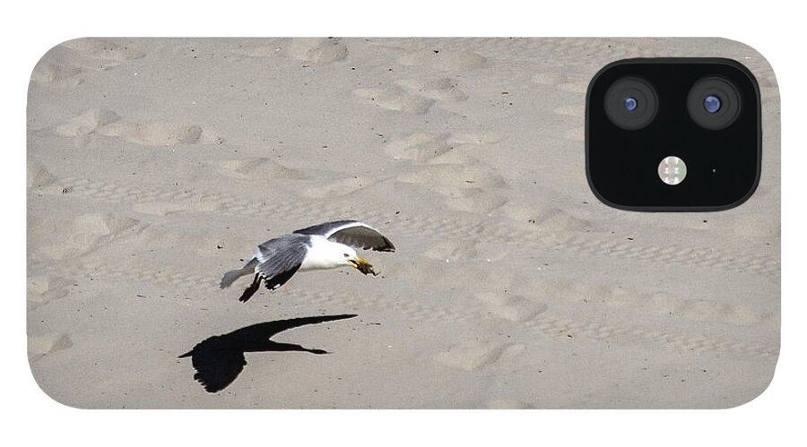 Birds Animals Wildlife Seagull iPhone 12 Case featuring the photograph Me and my shadow by Paul Ross
