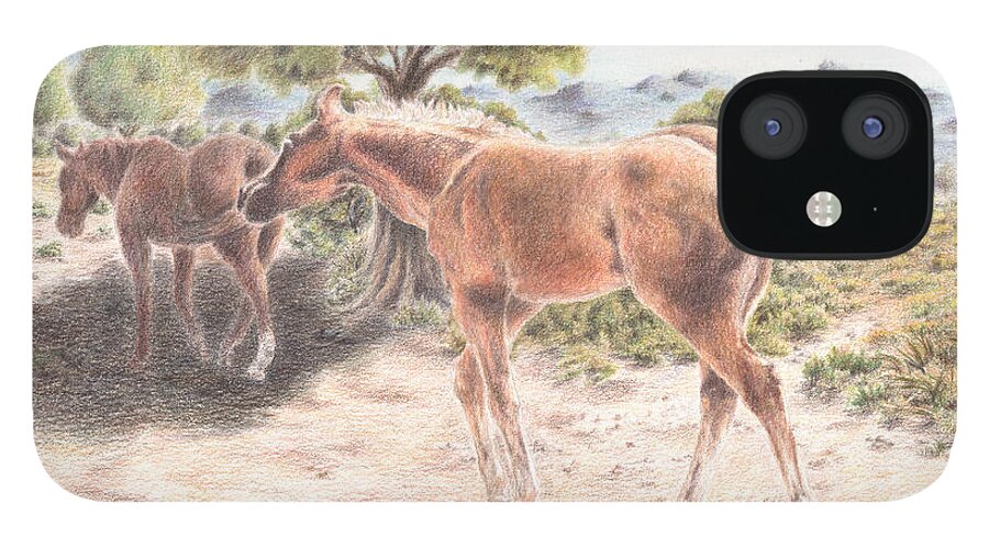 Horse iPhone 12 Case featuring the painting Me and My Shadow by Pris Hardy