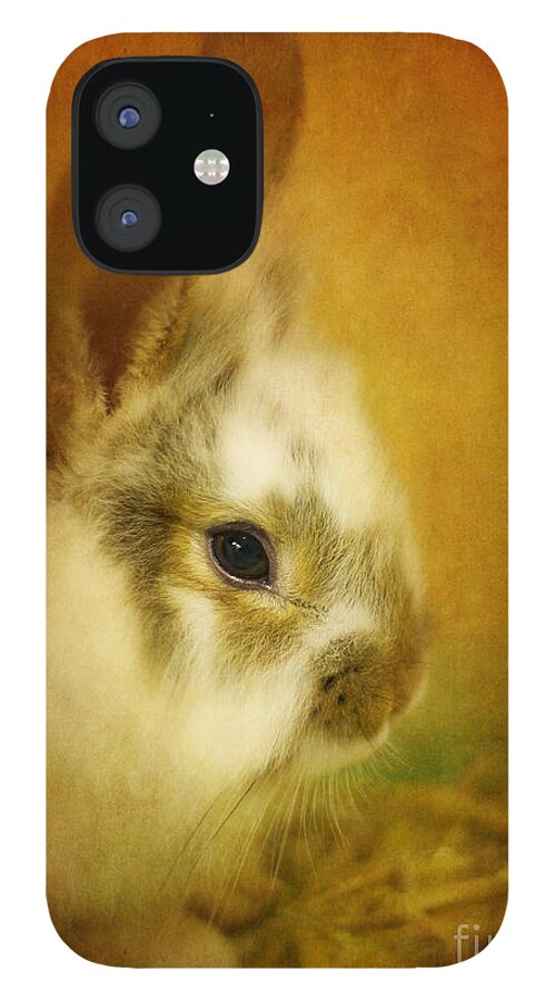 Rabbit iPhone 12 Case featuring the photograph Memories of Watership Down by Lois Bryan