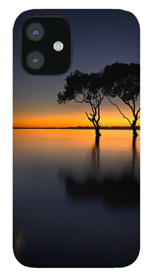 2010 iPhone 12 Case featuring the photograph Moon over Mangrove Trees by Robert Charity