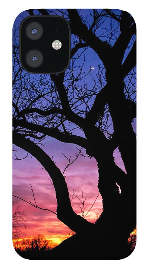 Moon Rise iPhone 12 Case featuring the photograph Moon Rise by Lucy VanSwearingen