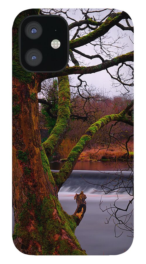 Europe iPhone 12 Case featuring the photograph Mossy Tree Leaning Over The Smooth River Wharfe by Dennis Dame