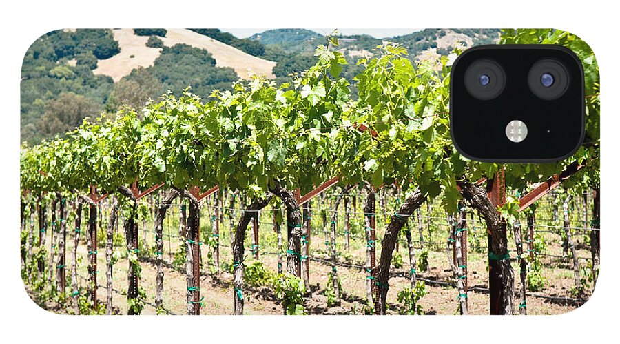 Napa Vineyard iPhone 12 Case featuring the photograph Napa Vineyard Grapes by Shane Kelly