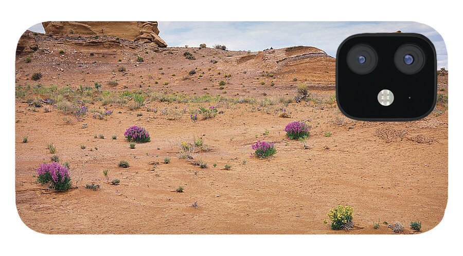 Desert iPhone 12 Case featuring the photograph Nature Walkabout by Paul Breitkreuz