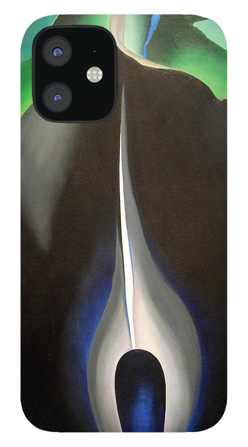 O Keeffe S Jack In The Pulpit No V Iphone 12 Case For Sale By Cora Wandel