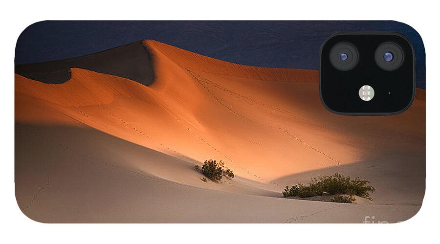 Death Valley National Park iPhone 12 Case featuring the photograph Orange Crush by Jennifer Magallon
