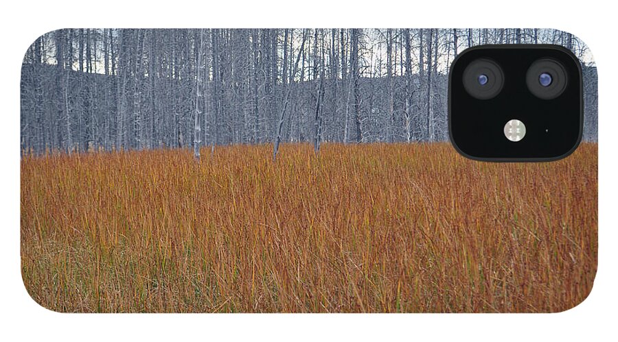 Autumn iPhone 12 Case featuring the photograph Orange Grasses and Gray Trees in Yellowstone National Park by Bruce Gourley