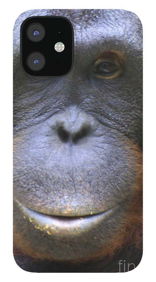 Orangutan iPhone 12 Case featuring the photograph Orangutan by Richard Lynch
