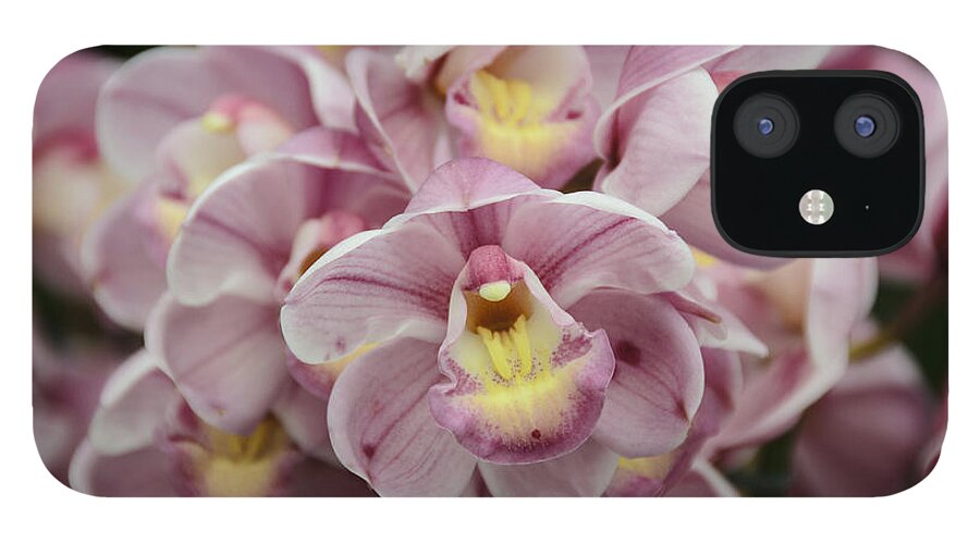Penny Lisowski iPhone 12 Case featuring the photograph Orchid Bouquet by Penny Lisowski