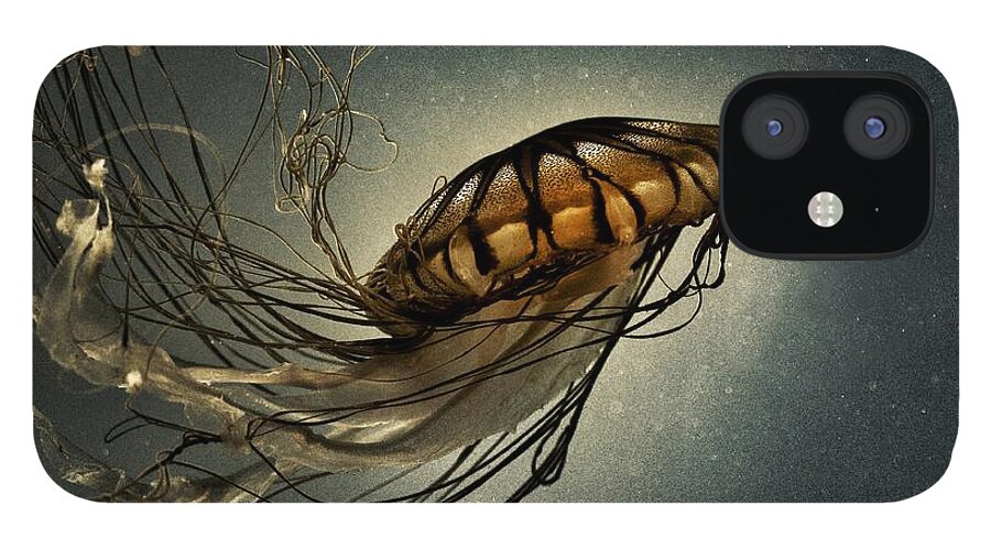 Pacific Sea Nettle iPhone 12 Case featuring the photograph Pacific Sea Nettle by Marianna Mills