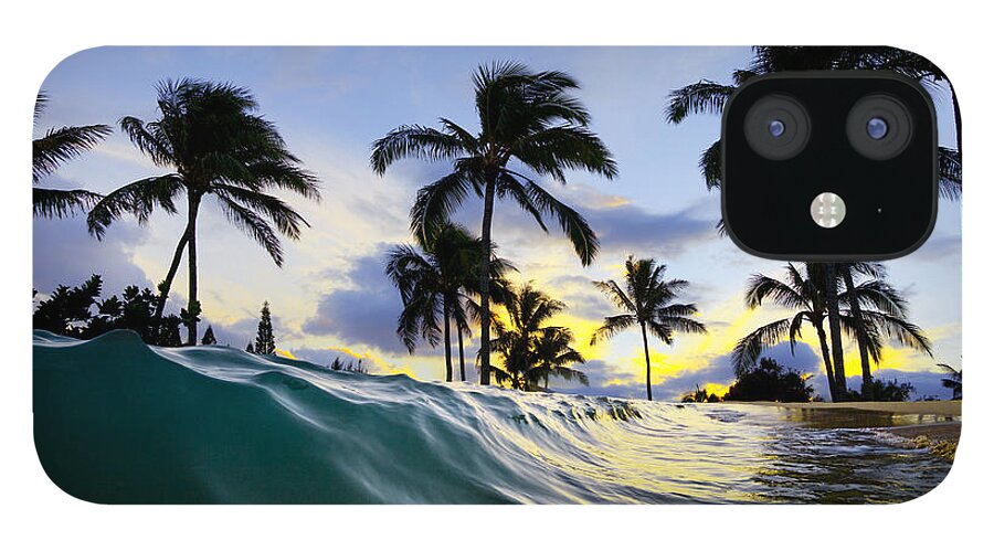 Palm Tree iPhone 12 Case featuring the photograph Palm wave by Sean Davey