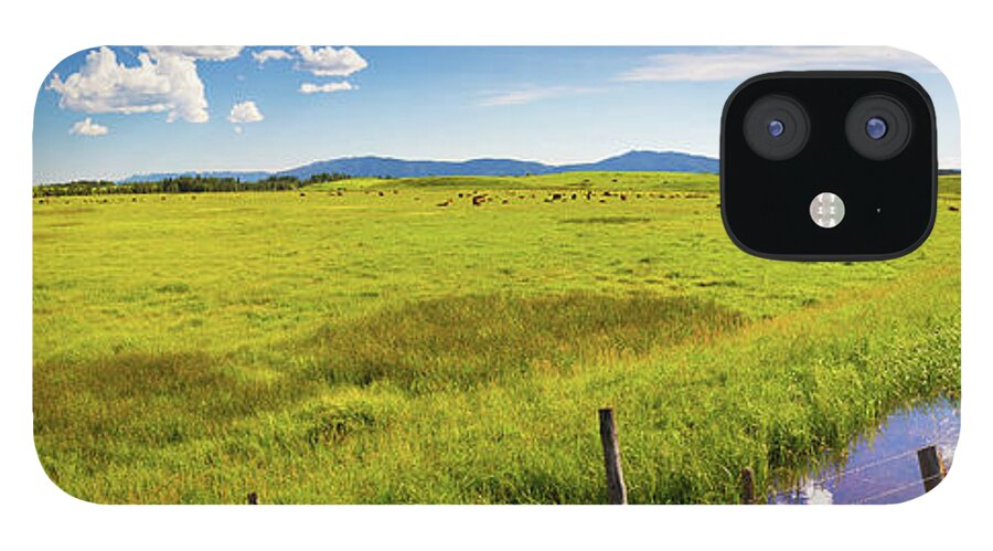 Tranquility iPhone 12 Case featuring the photograph Panorama Of Fields And Cattle Outside by Anna Gorin