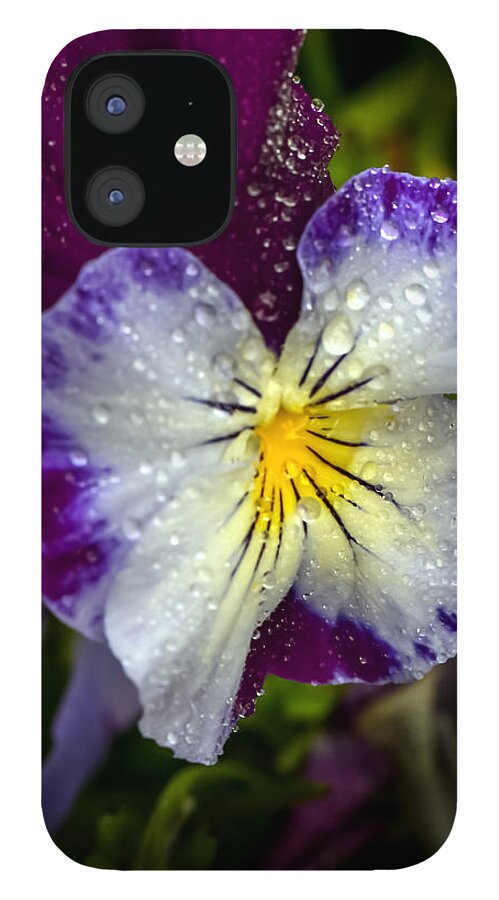 Flower iPhone 12 Case featuring the photograph Pansy by Robert Mitchell