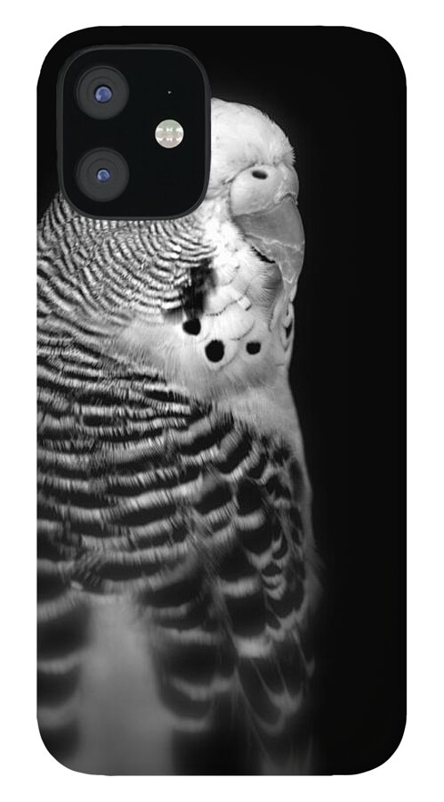Parakeet iPhone 12 Case featuring the photograph Parakeet by Nathan Abbott