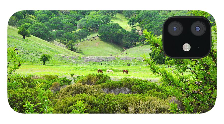 Landscape iPhone 12 Case featuring the photograph Pastoral Peace by Brian Tada