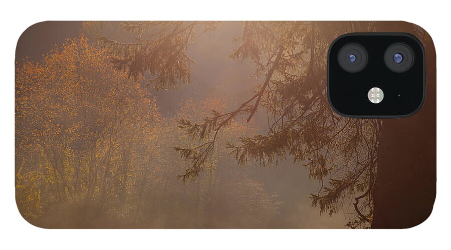 Tree iPhone 12 Case featuring the photograph Peaceful Moments by Karol Livote