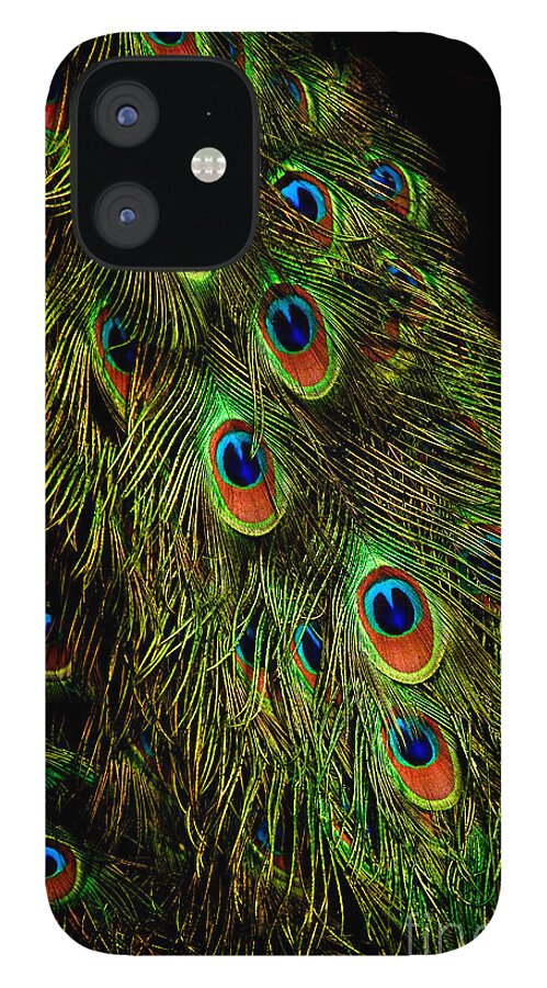 Animals iPhone 12 Case featuring the photograph Peacock Waterfall by Venetta Archer