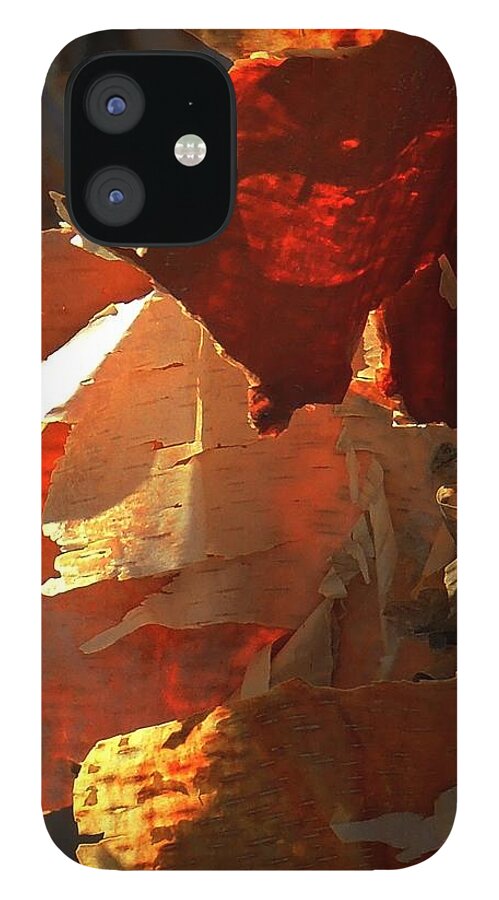 Abstract iPhone 12 Case featuring the photograph Peeling Off The Layers by Marcia Lee Jones
