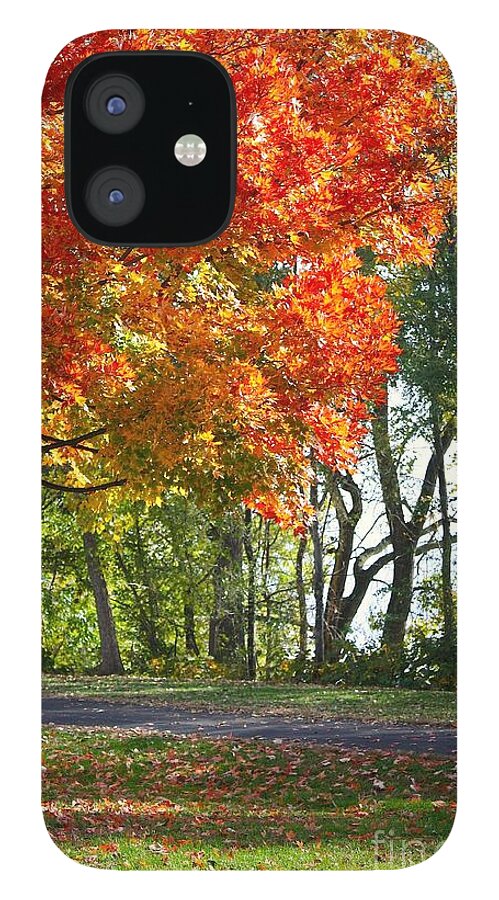 Peoria iPhone 12 Case featuring the photograph Peoria Riverfront Park in Autumn Two by Veronica Batterson
